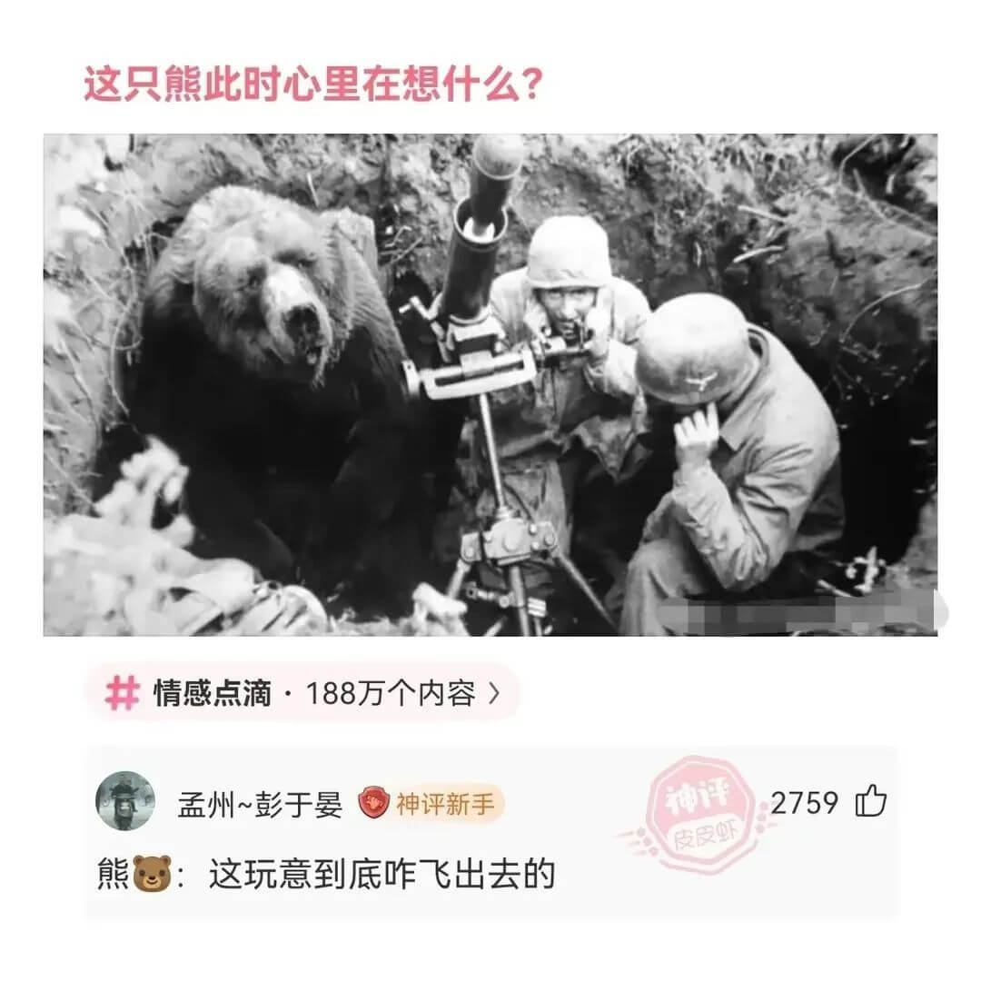 这只熊此时心里在想什么?情感点滴·188万个内容孟州~彭于晏
