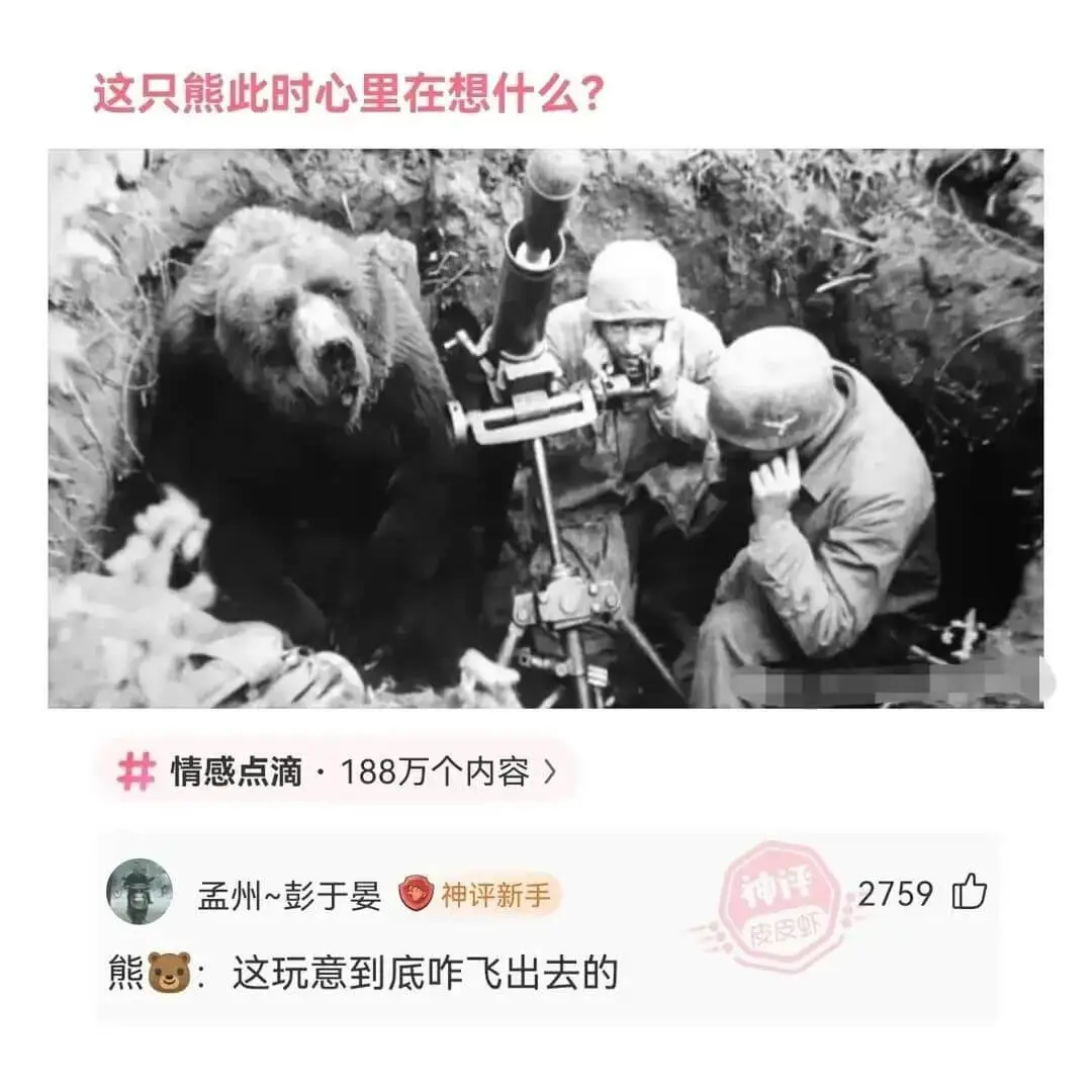 这只熊此时心里在想什么?情感点滴·188万个内容孟州~彭于晏