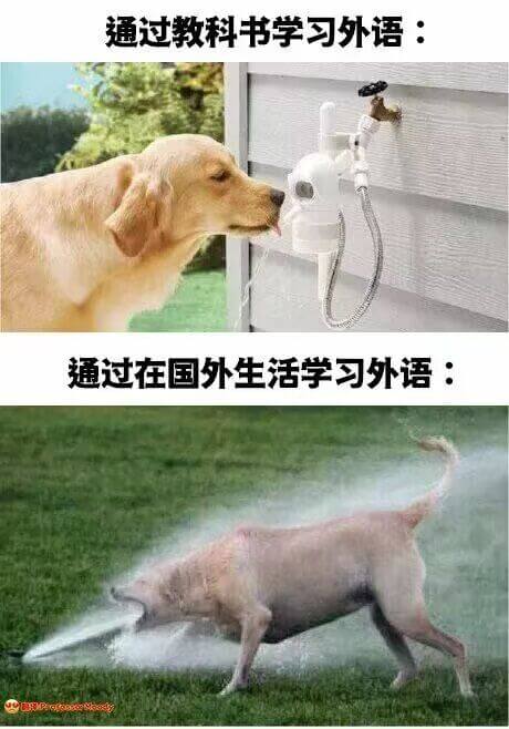 通过教科书学习外语：通过在国外生活学习外语：