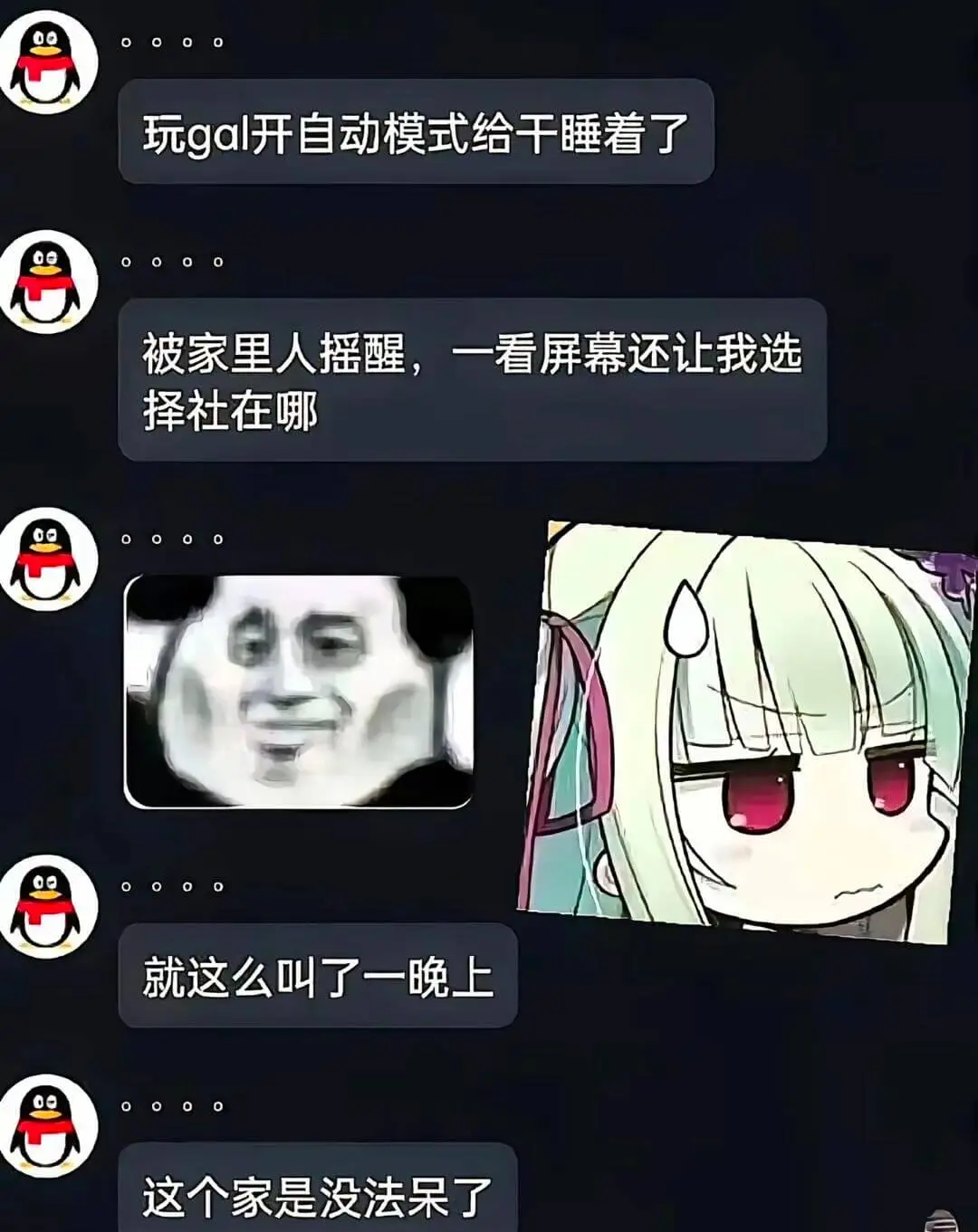 玩gal开自动模式给干睡着了被家里人摇醒，一看屏幕还让我选择