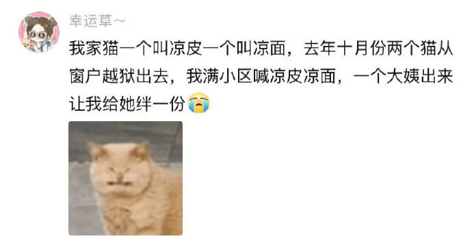 幸运草～我家猫一个叫凉皮，一个叫凉面。去年十月份，两个猫从窗