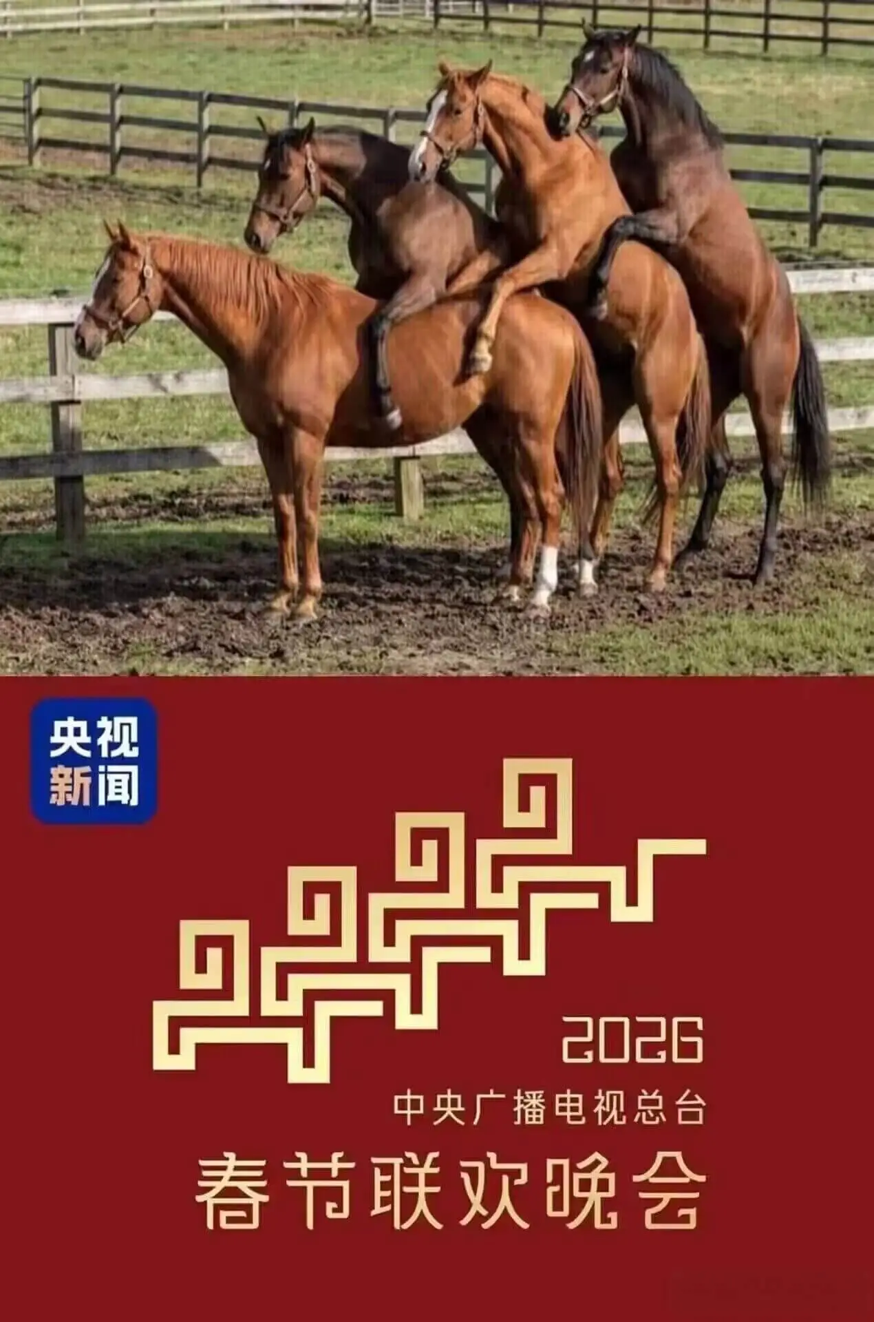 《🐴🐴🐴🐴》《难追》