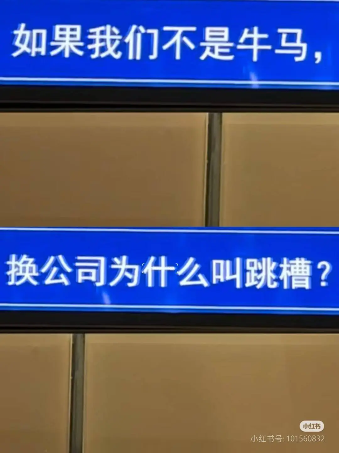 如果我们不是牛马，换公司为什么叫跳槽？