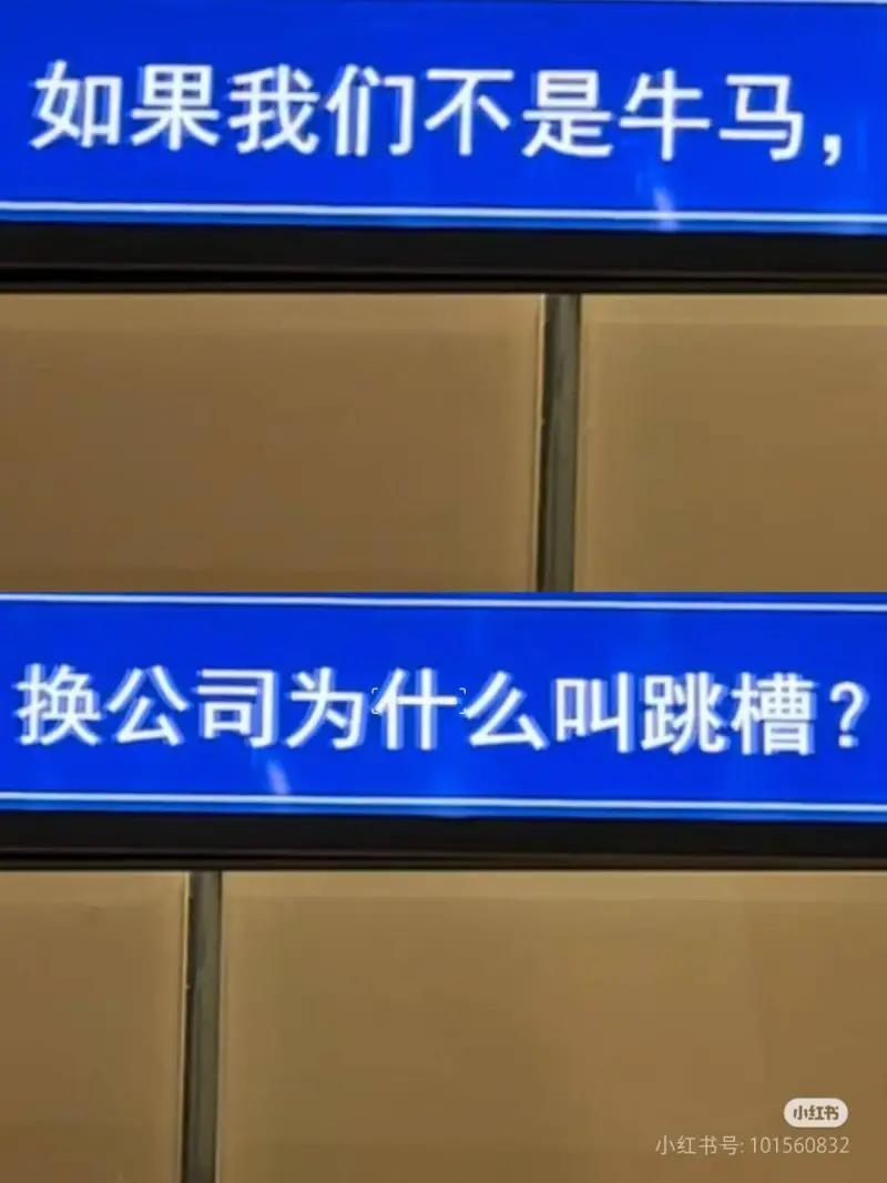 如果我们不是牛马，换公司为什么叫跳槽？