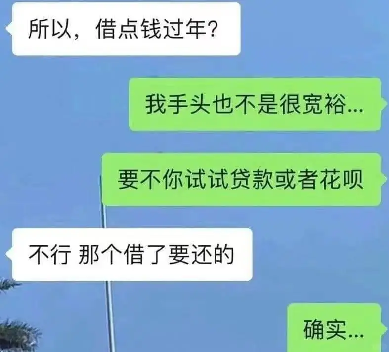 所以,借点钱过年?我手头也不是很宽裕...要不你试试贷款或者
