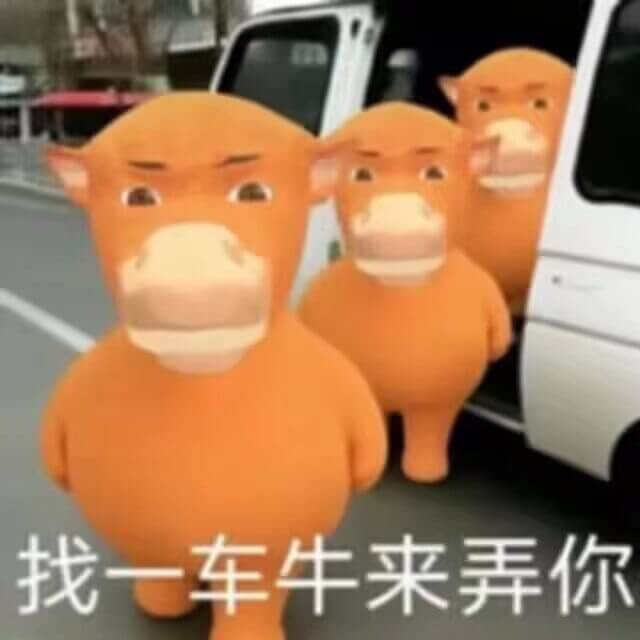 找一车牛来弄你