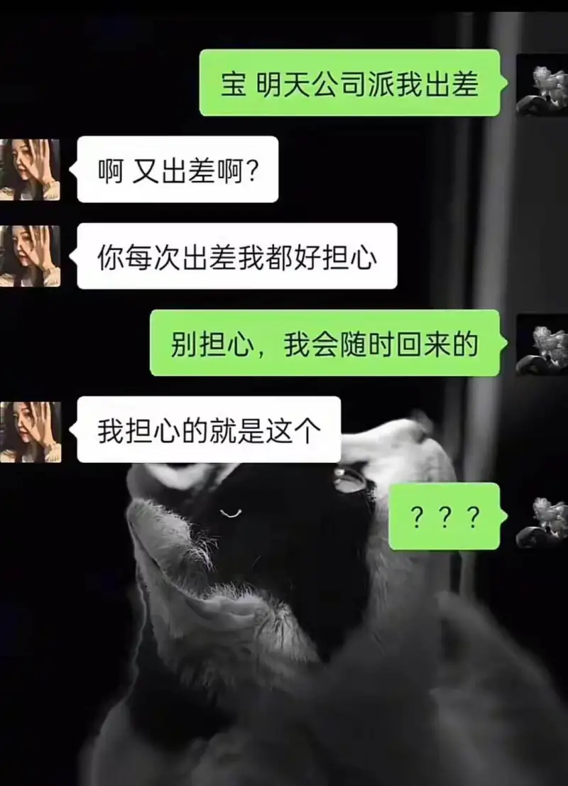宝，明天公司派我出差。啊，又出差啊？你每次出差我都好担心。别