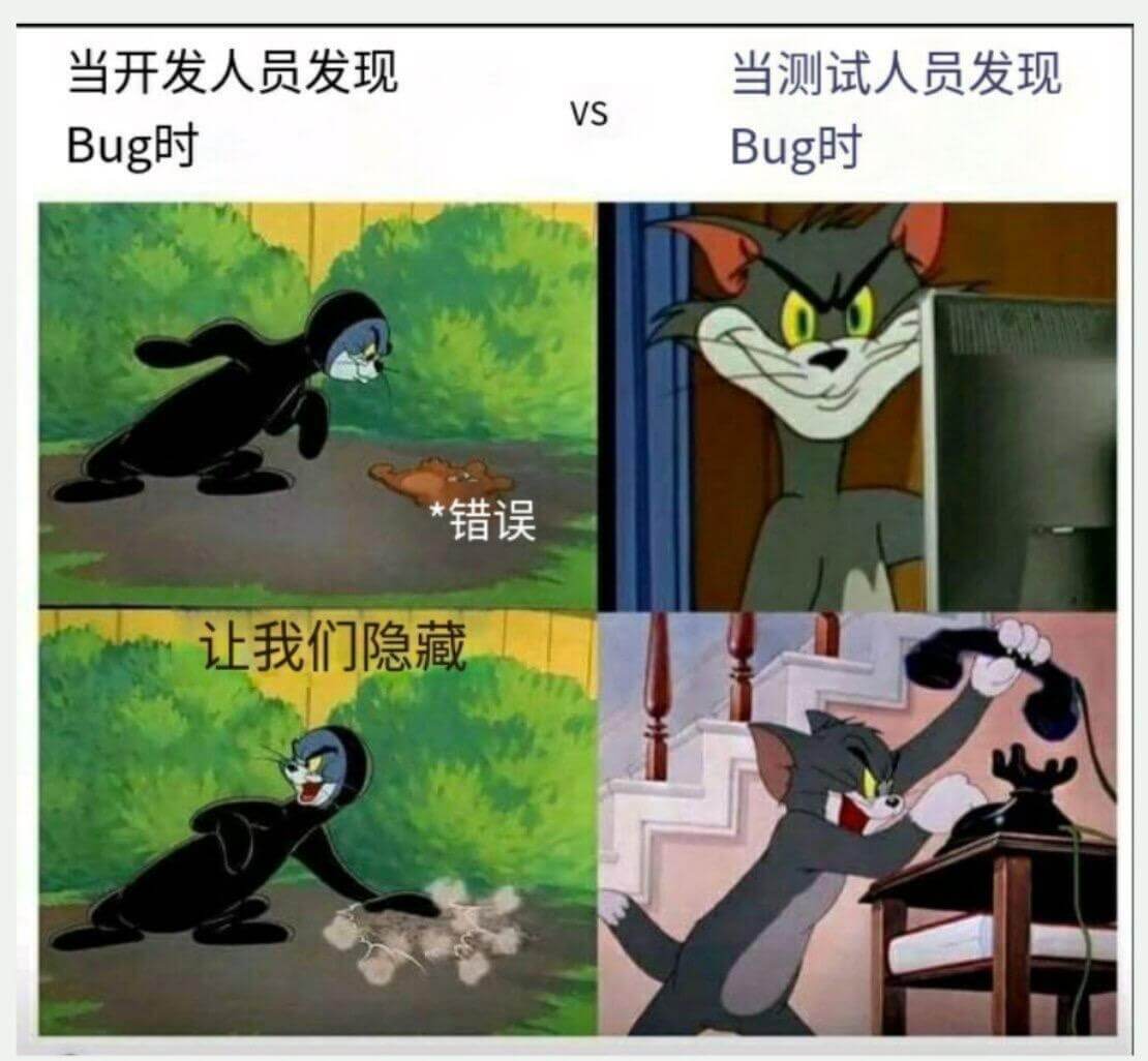 当开发人员发现Bug时错误当测试人员发现Bug时让我们隐藏