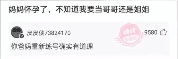 妈妈怀孕了，不知道我要当哥哥还是姐姐皮皮侠738241709