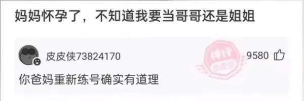 妈妈怀孕了，不知道我要当哥哥还是姐姐皮皮侠738241709