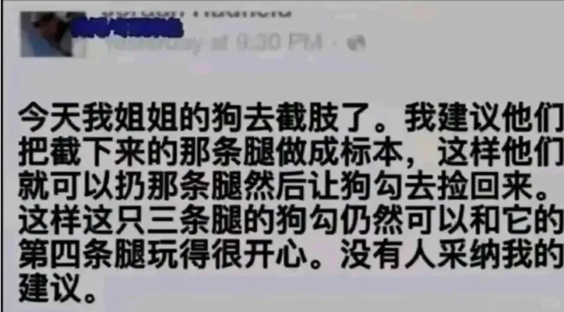 今天我姐姐的狗去截肢了。我建议他们把截下来的那条腿做成标本，