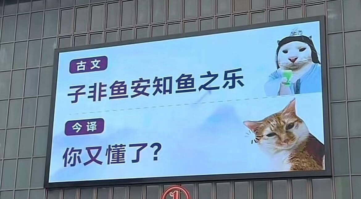 古文：子非鱼，安知鱼之乐？今译：你又不是鱼，怎么知道鱼的快乐