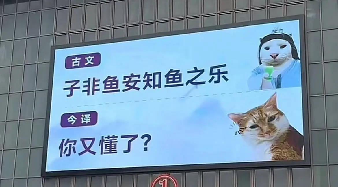 古文:子非鱼,安知鱼之乐?今译:你又不是鱼,怎么知道鱼的快乐