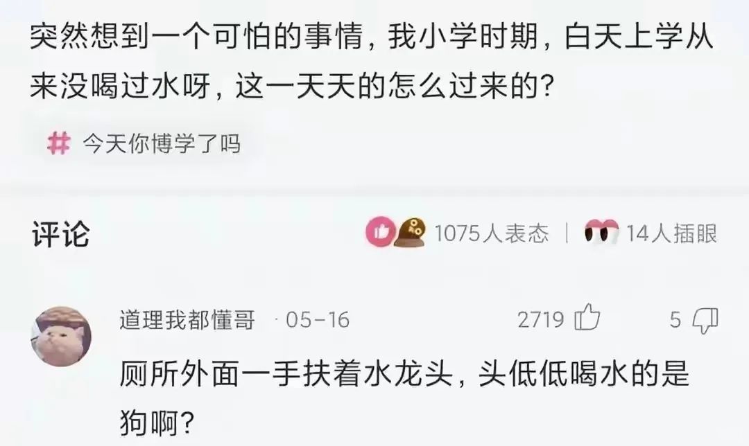 突然想到一个可怕的事情，我小学时期，白天上学从来没喝过水呀，
