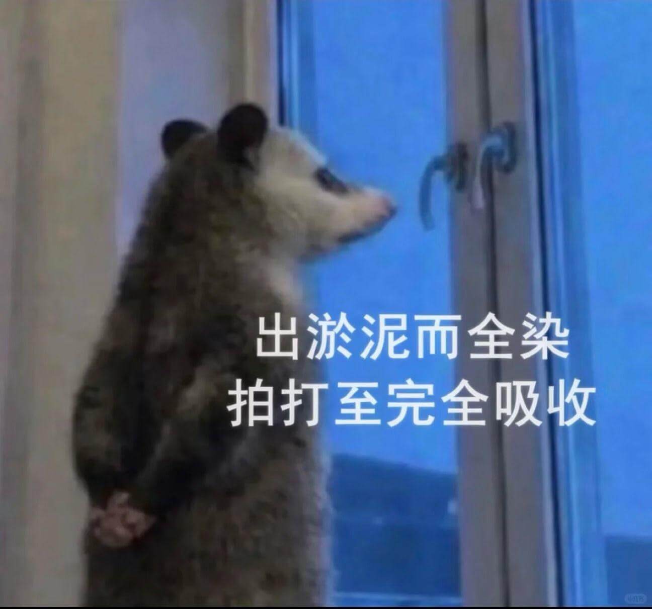 出淤泥而不染，拍打至完全吸收。