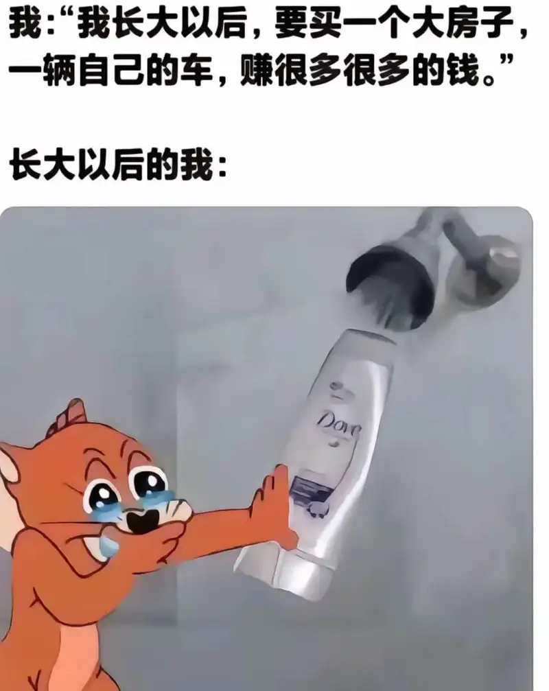 我：“我长大以后，要买一个大房子，一辆自己的车，赚很多很多的