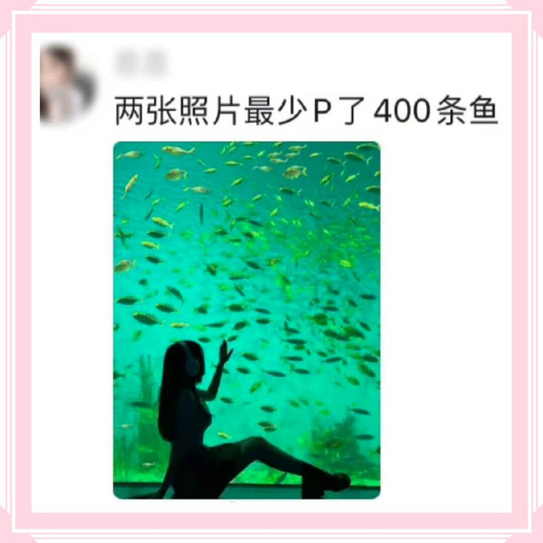 两张照片最少P了400条鱼