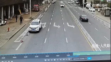自动挡果然狗都会开