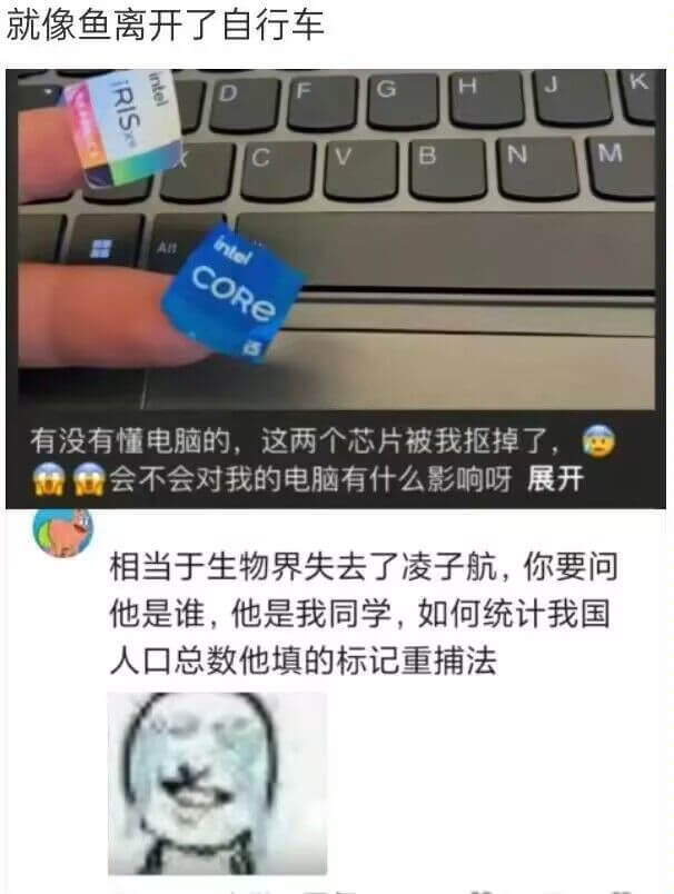 就像鱼离开了自行车IRISXelMntelCORe有没有懂电
