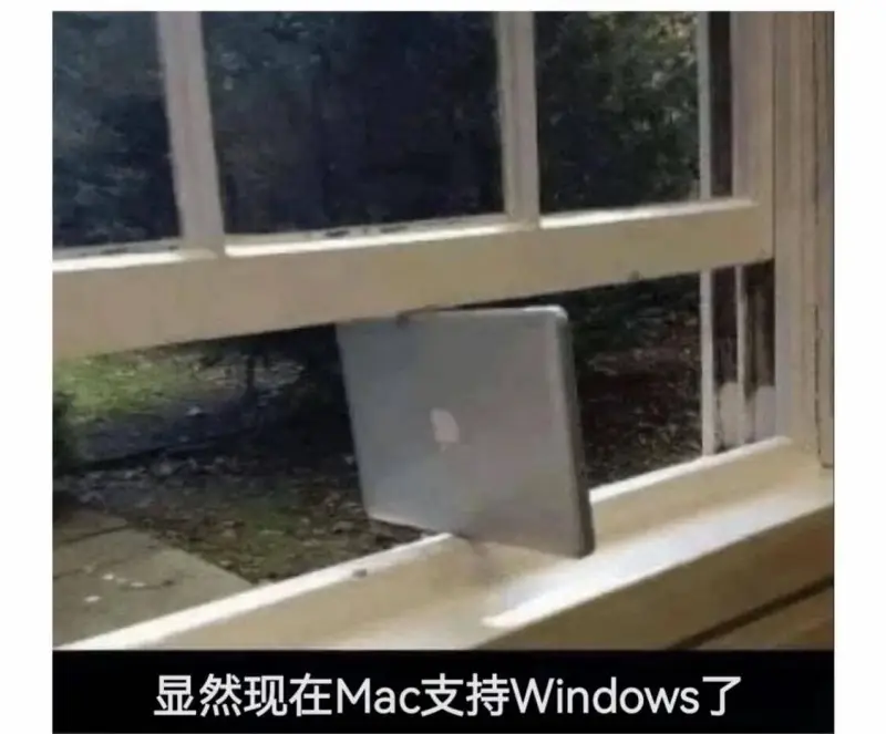 显然现在Mac支持Windows了