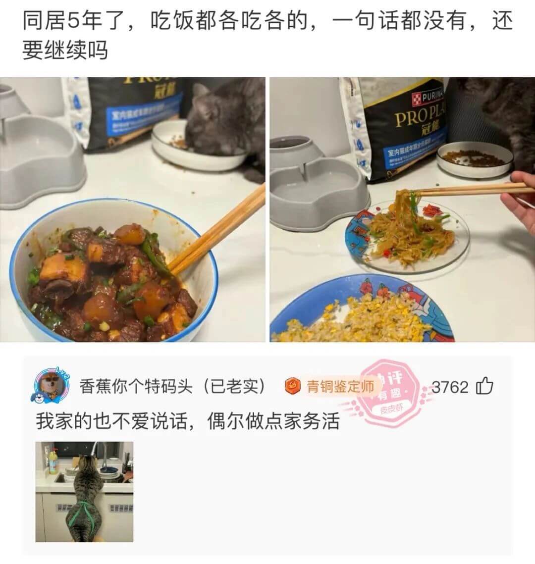 同居5年了，吃饭都各吃各的，一句话都没有，还要继续吗PURI