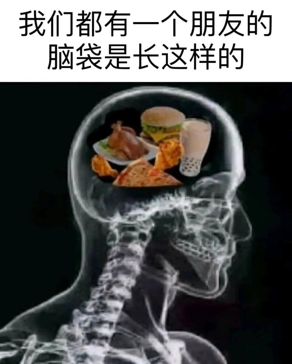 我们都有一个朋友的脑袋是长这样的