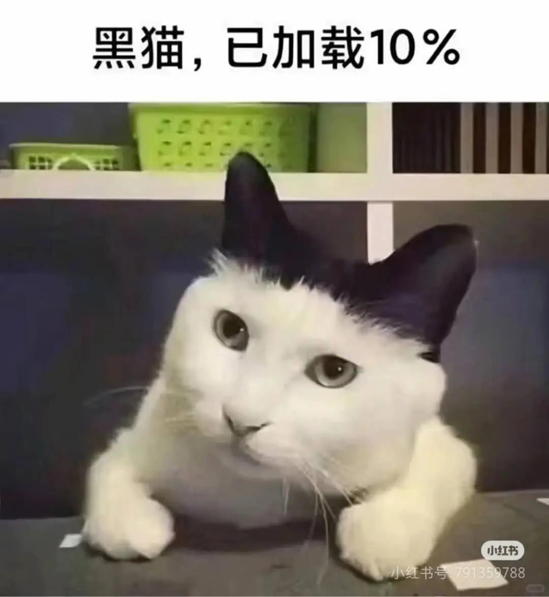 黑猫，已加载10%小红书小红书号:791359788