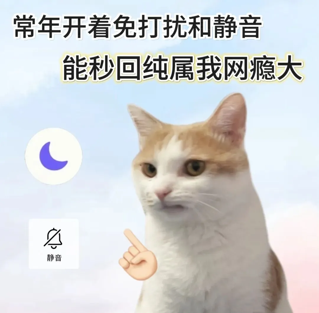 是我啊静音选手一晃好几年成习惯了