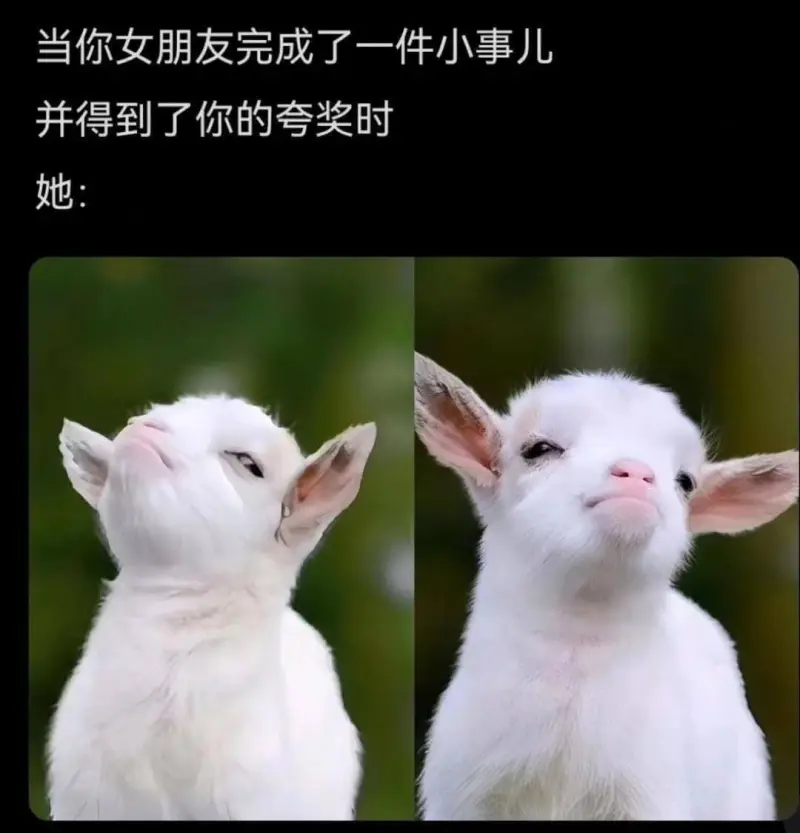 当你女朋友完成了一件小事儿，并得到了你的夸奖时，她：
