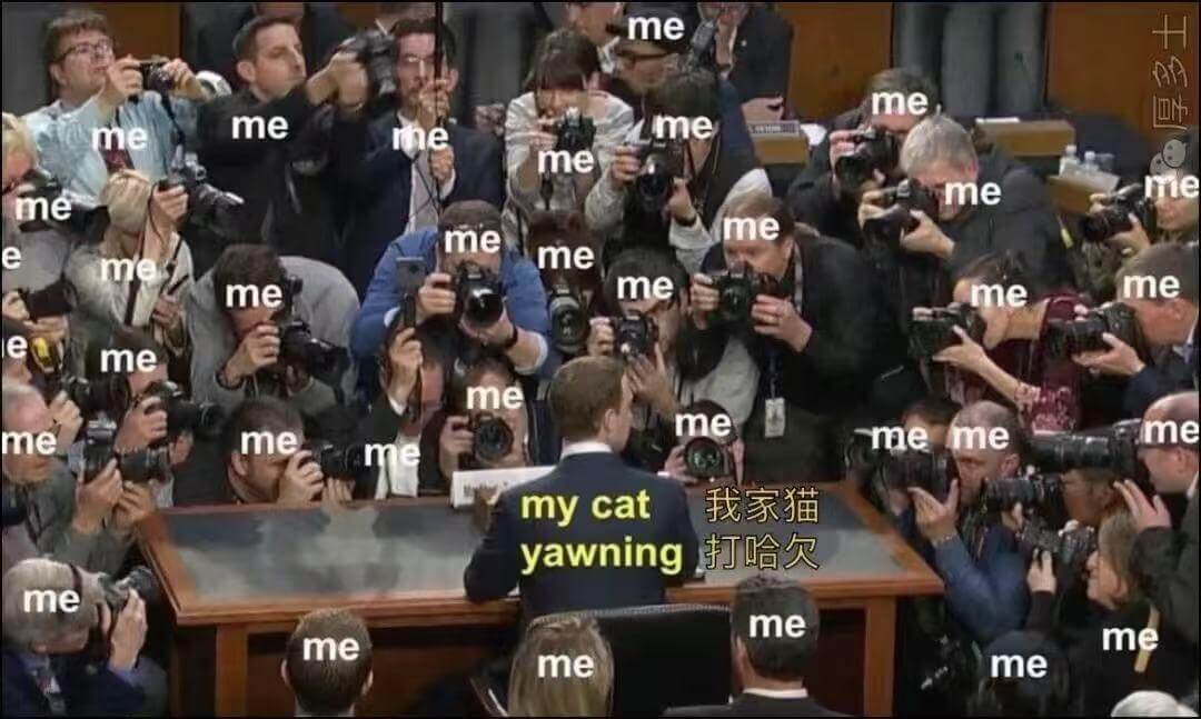 mememememenememeememememememem