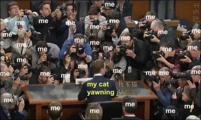 mememememenememeememememememem