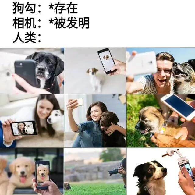 狗勾：*存在相机：*被发明人类：