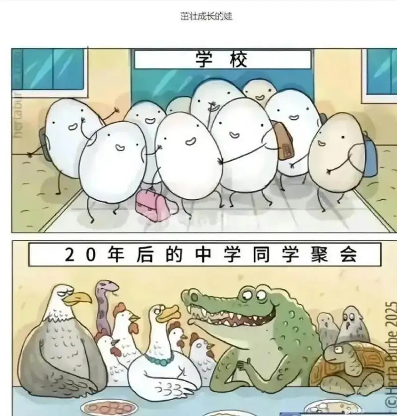 茁壮成长的魅学校20年后的中学同学聚会C00