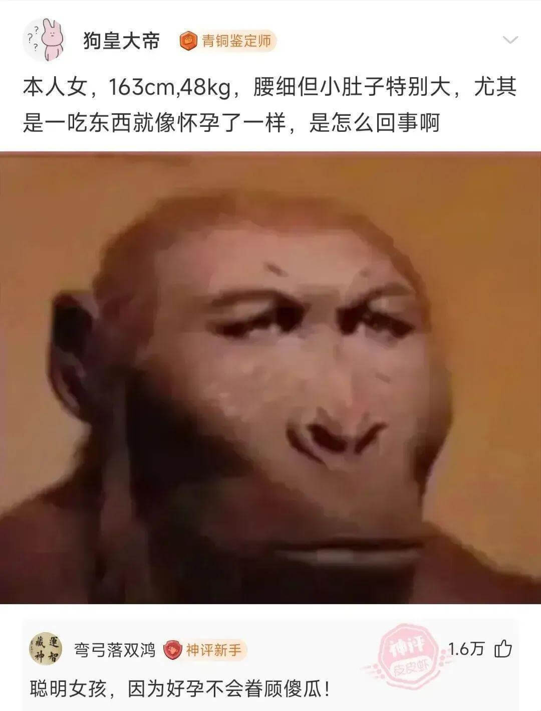 狗皇大帝青铜鉴定师本人女，163cm,48kg，腰细但小肚子