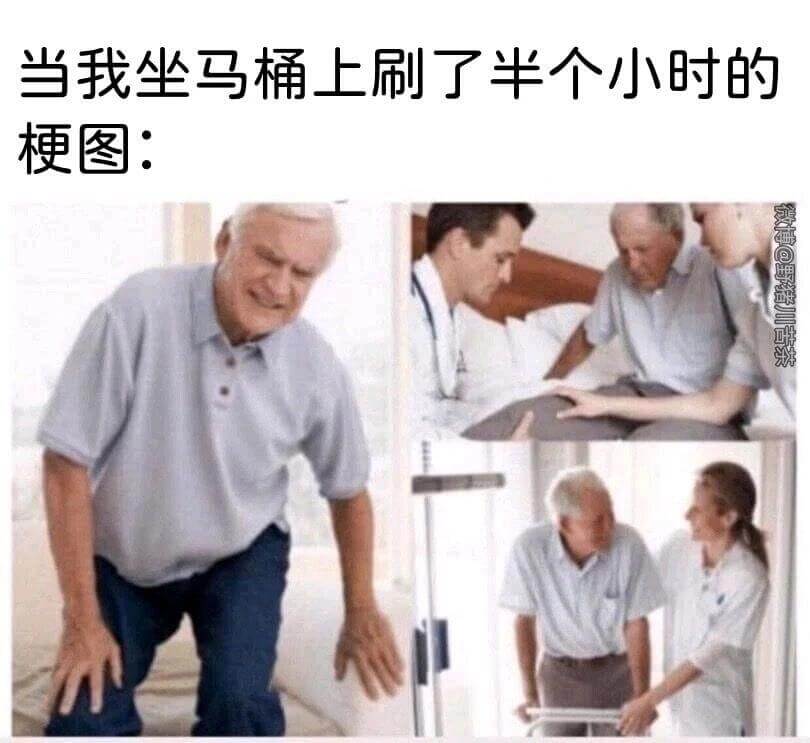 当我坐马桶上刷了半个小时的梗图：