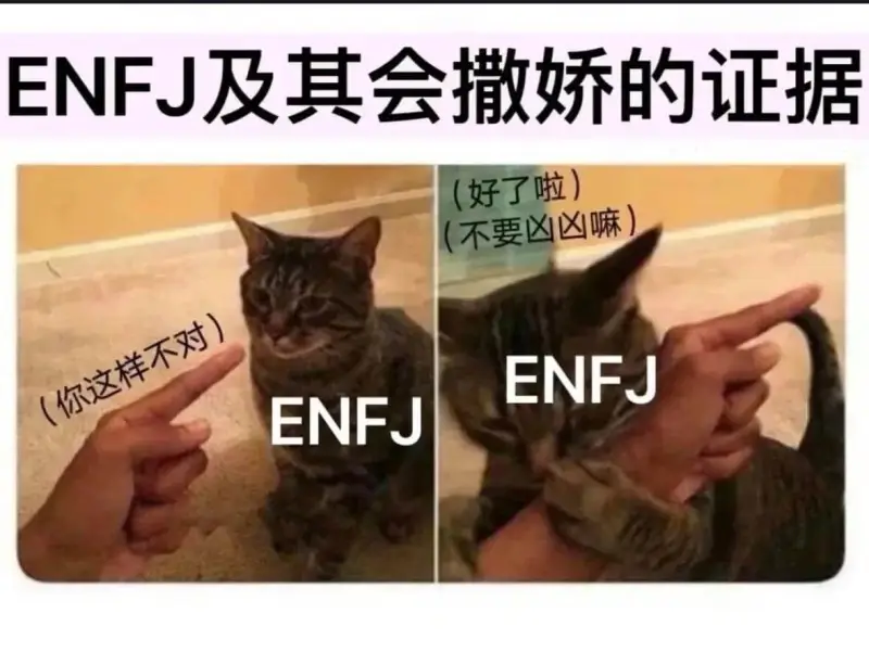 ENFJ及其会撒娇的证据（好了啦，不要凶嘛！）ENFJ（你这