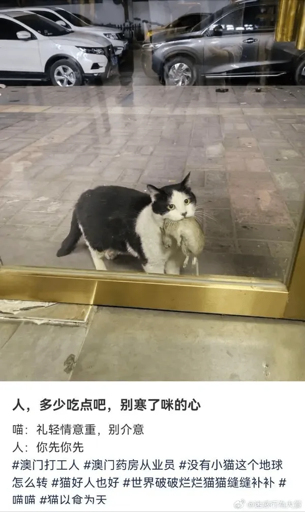 人，多少吃点吧，别寒了咪的心喵：礼轻情意重，别介意人：你先你