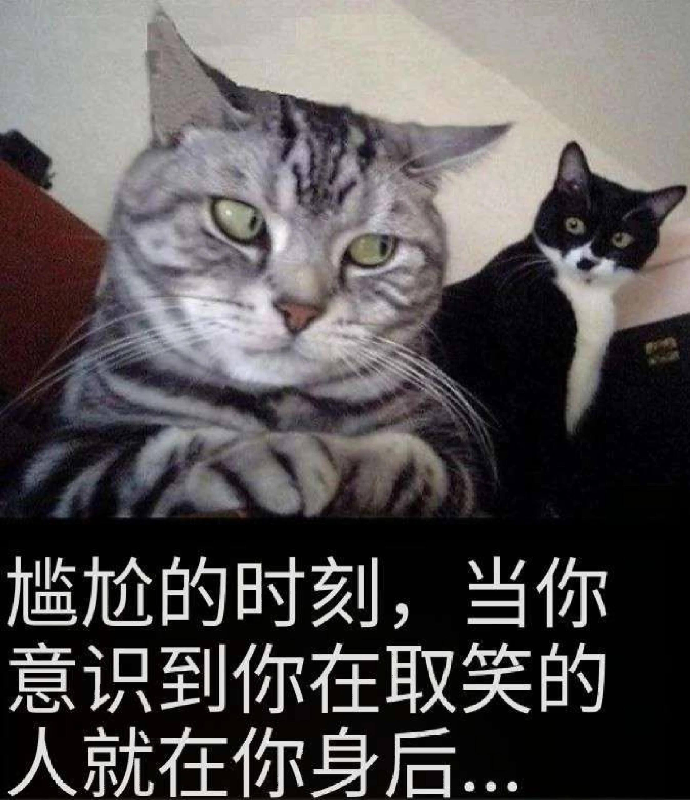 尴尬的时刻，当你意识到你在取笑的