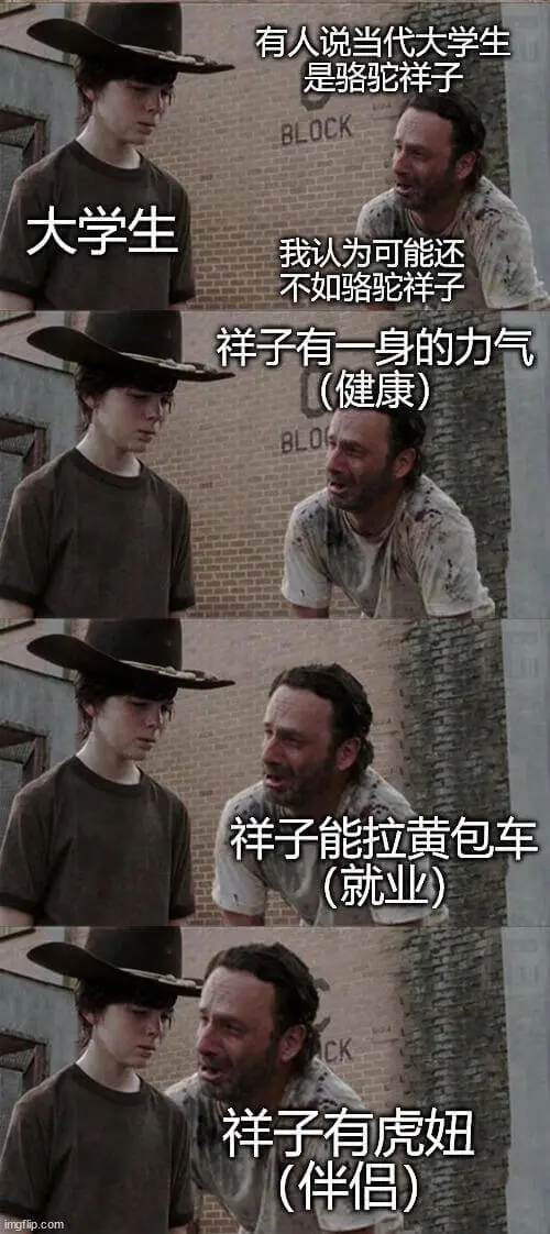 有人说当代大学生是骆驼祥子。大学生，我认为可能还不如骆驼祥子