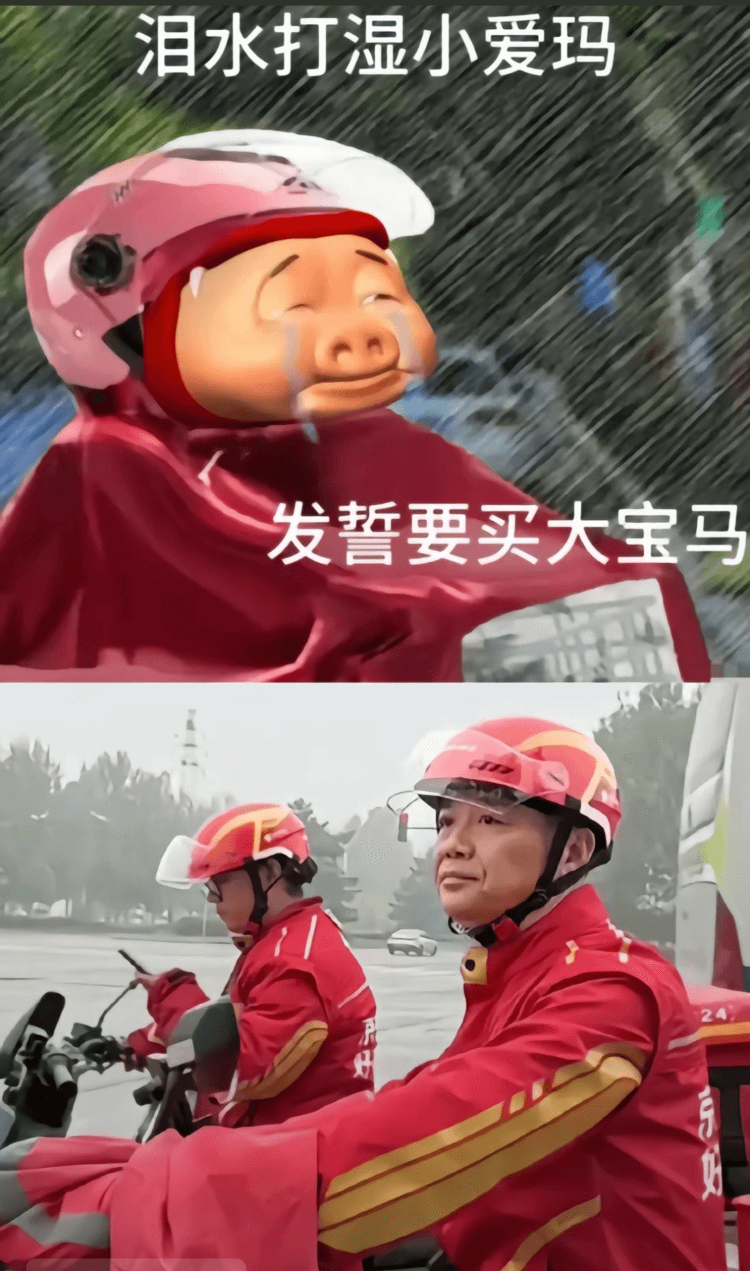 泪水打湿小爱玛，发誓要买大宝马。