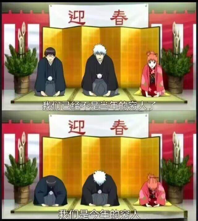 迎春我们已经不是迎春我们是今年的穷