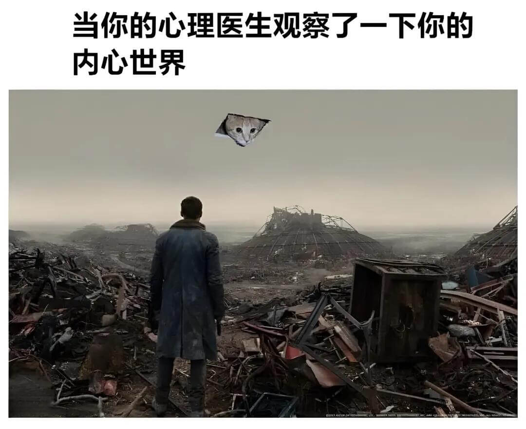 当你的心理医生观察了一下你的内心世界