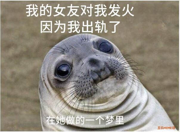 我的女友对我发火，因为我出轨了，在她做的一个梦里。平孤MEM