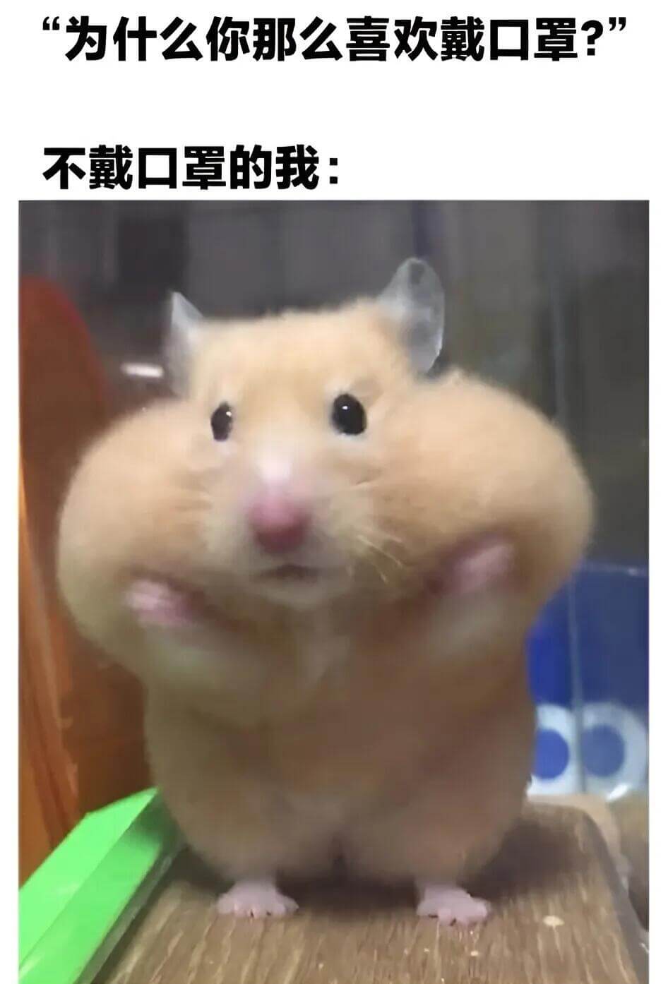 “为什么你那么喜欢戴口罩？”不戴口罩的我：