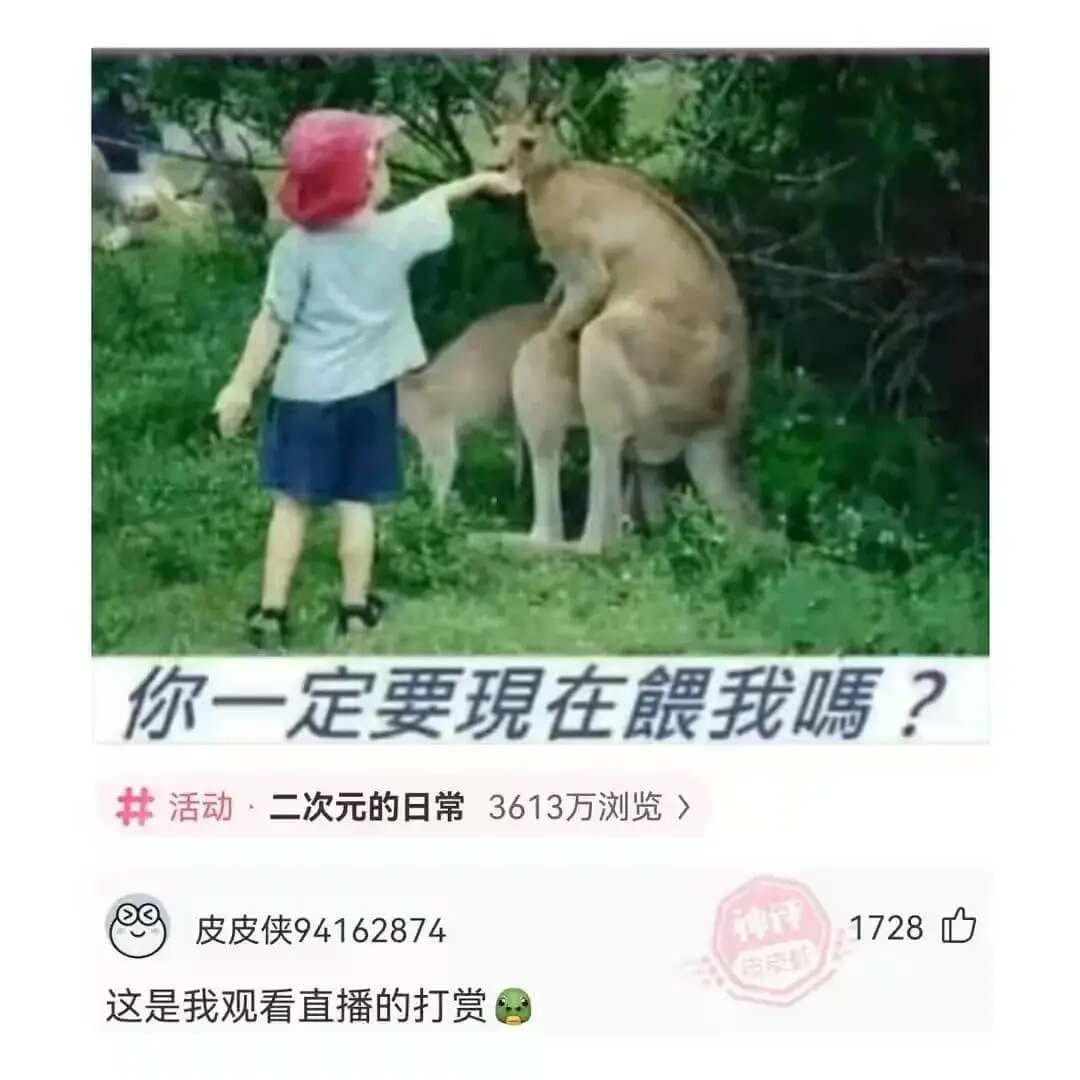 你一定要現在餵我嗎?活动·二次元的日常3613万浏览皮皮侠9