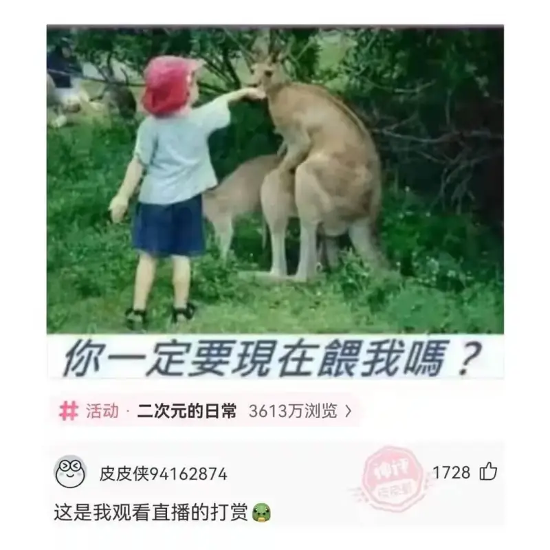 你一定要現在餵我嗎?活动·二次元的日常3613万浏览皮皮侠9