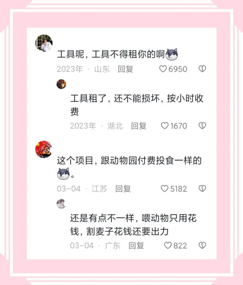 工具呢，工具不得租你的啊2023年·山东回复6950工具租了
