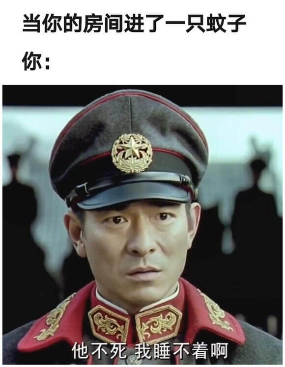 当你的房间进了一只蚊子你：他不死，我睡不着啊