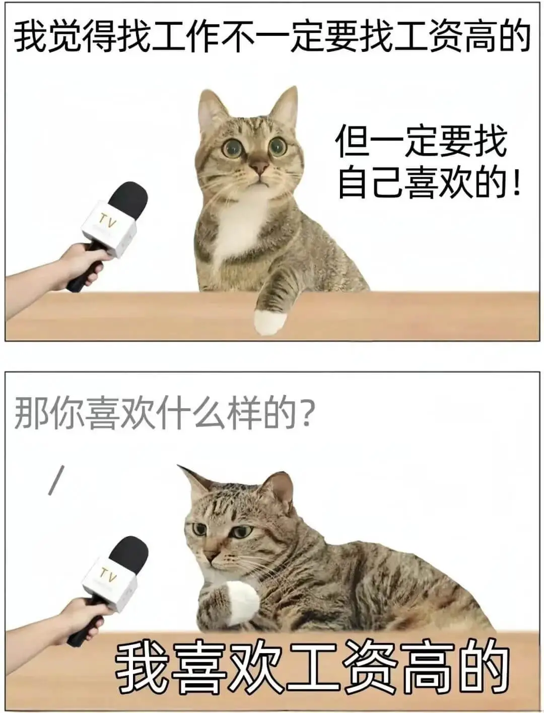 我觉得找工作不一定要找工资高的，但一定要找自己喜欢的！那你喜