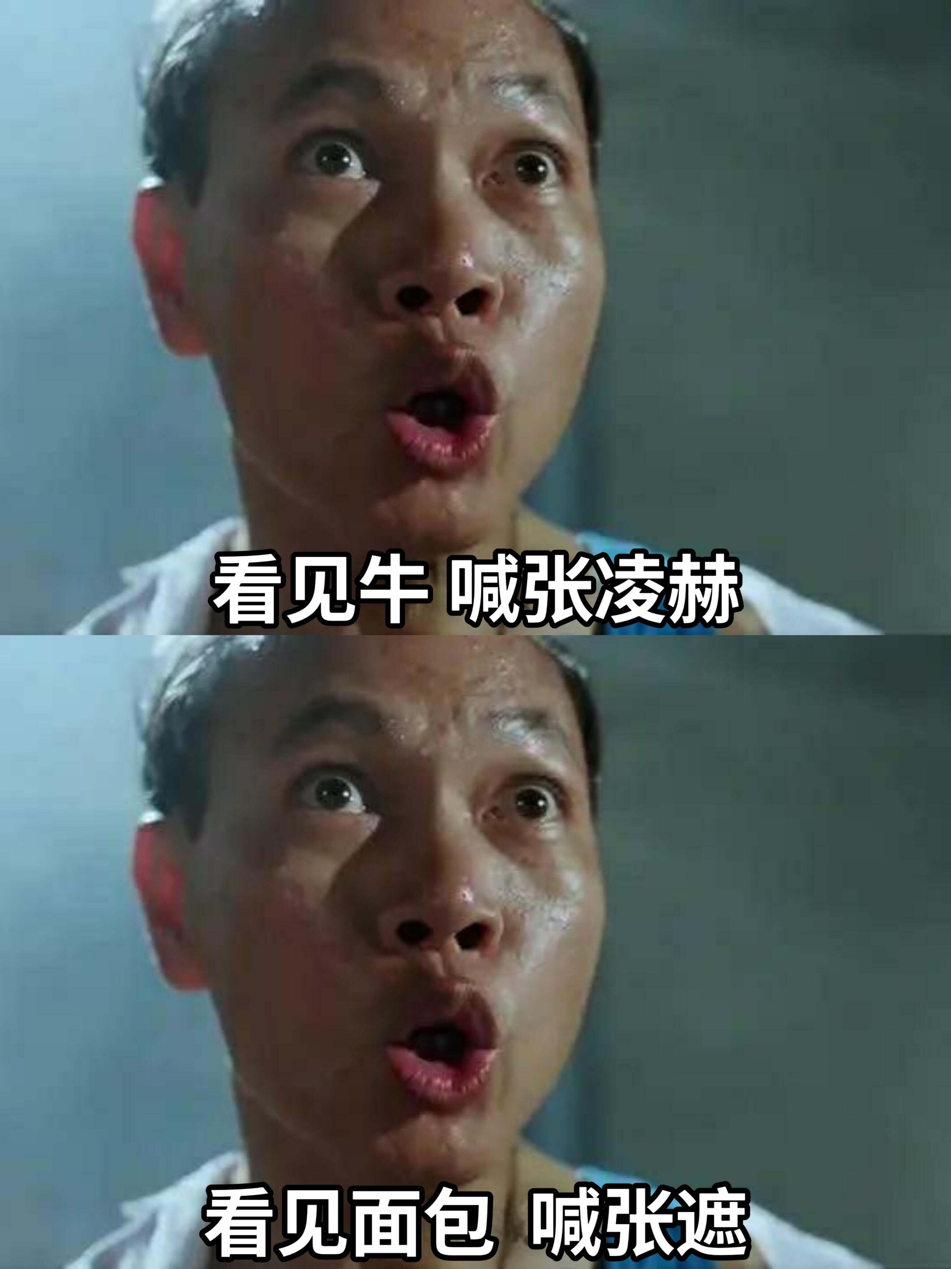 看见牛喊张凌赫